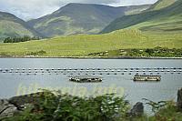 oyster farm in killary harbour